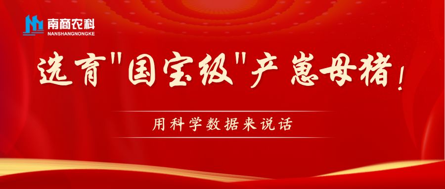 科學(xué)數(shù)據(jù)助力"國寶級(jí)"產(chǎn)崽母豬選育：數(shù)字化時(shí)代下的種畜選育新思路