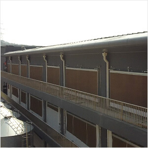 新發展趨勢